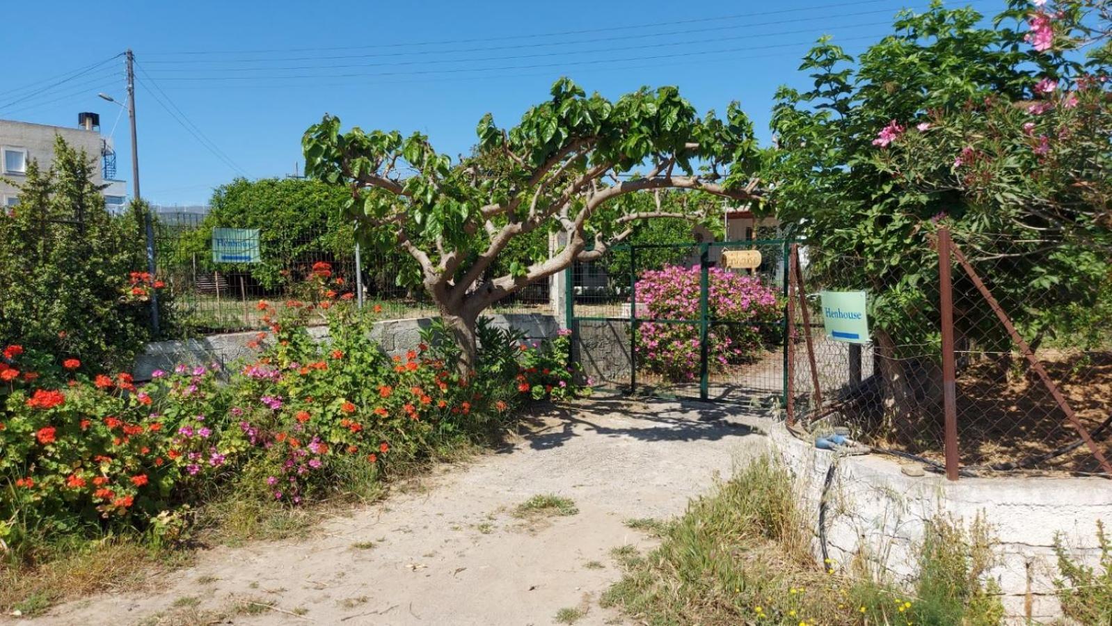 Agritourism Cottage Near Sitia Exteriér fotografie